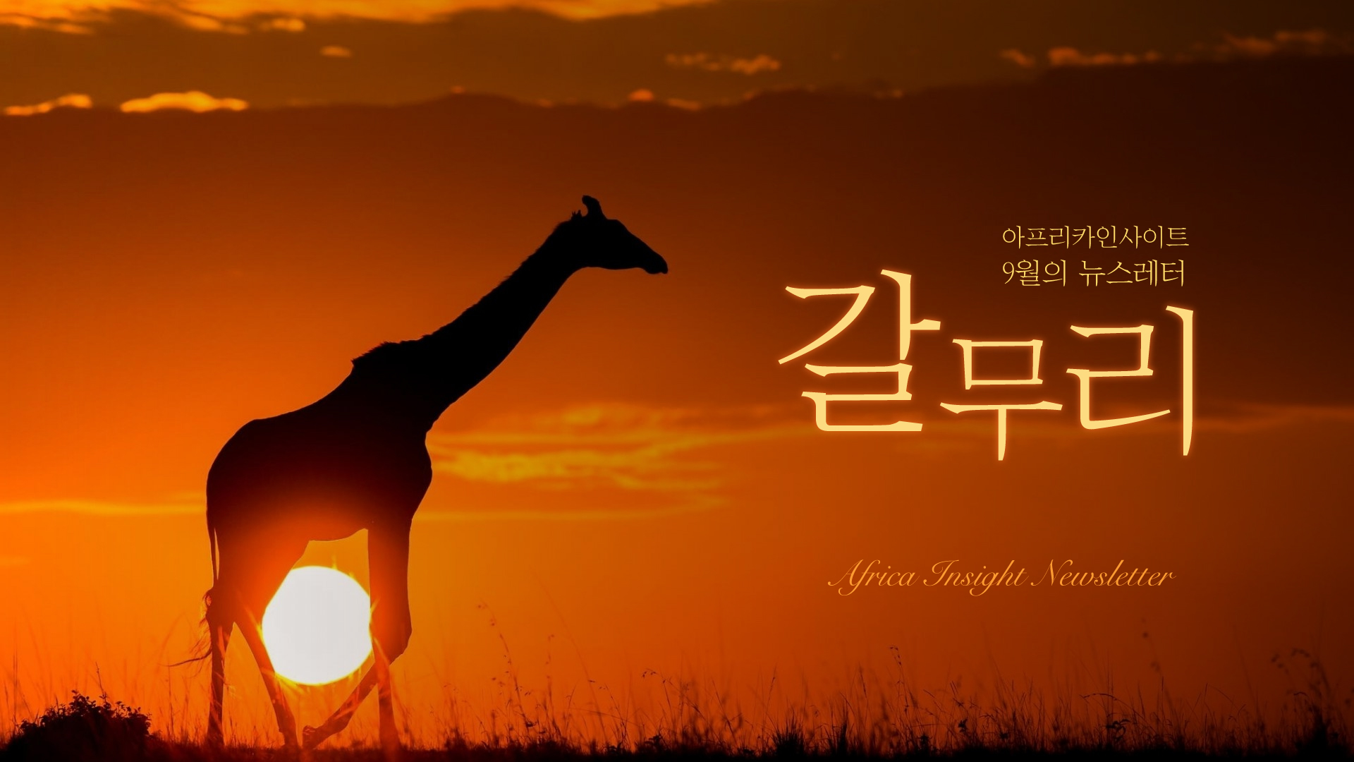 아인-뉴스레터-갈무리-썸네일 9월